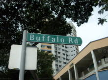 Buffalo Road #75892